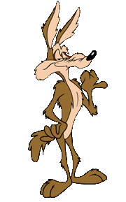 Coyote