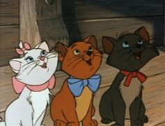 Duchess' Kittens.jpg