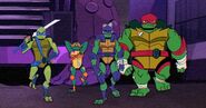 The Ninja Turtles