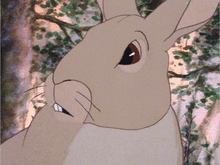 Silver.gif