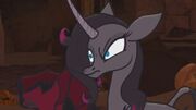 Oleander