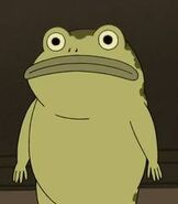 Frog OTGW