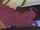 Echidna's Children