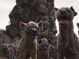 Hyenas