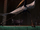 Crane
