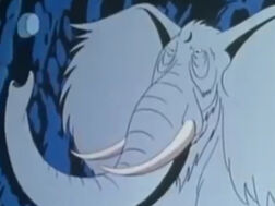 Pachyderm.jpeg