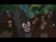 The Gorillas