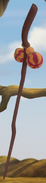 Rafiki's Bakora Staff