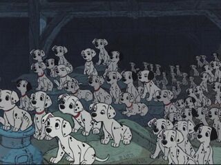 The 99 Puppies.jpg