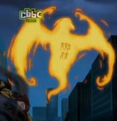 Phoenix cuckoos.jpg
