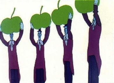 The Apple bonkers