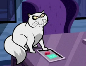 Maddie the Cat.png