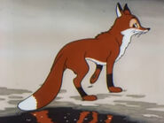 The Fox (Little Grey Neck)