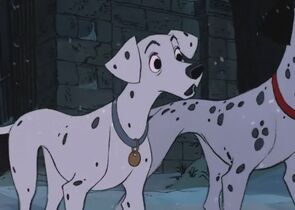 Perdita.jpg