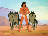 Wolves Adventures of Mowgli