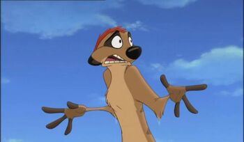 Timon