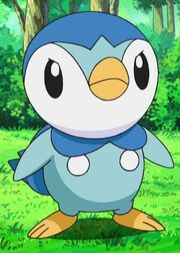 Piplup 