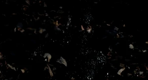 Entrails of a Virgin - 03.jpg (325 kB) La bestia despierta.