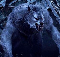 Hombre Lobo (Van Helsing) | Wiki Villanos del Cine de Terror | Fandom