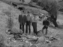 El Sheriff y Hastings, en el misterio de las vacas muertas