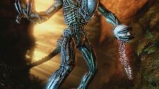 Avp-large-movie-33576259