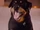 Dox, el rottweiler