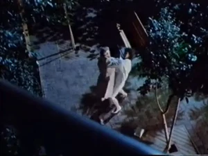 Steve Harold presencia el asesinato desde su balcón.