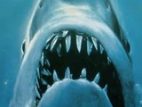 Jaws