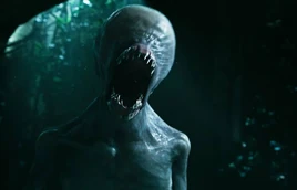 Neomorph