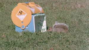 Cuando tan solo era una pequeña ardillita.