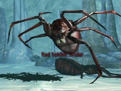 Red Soldier Spider (Enemy)