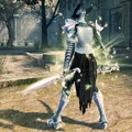 Twin Sword Lann as a Paladin back view