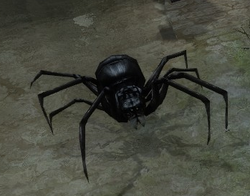 Black Soldier Spider (Enemy)