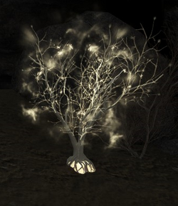 Luminary Tree (Enemy).png