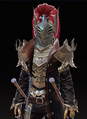 Dark Crest Helm (Lann 1).png