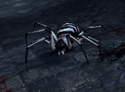 Striped Spider (Enemy).png