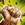 Grapple Mastery (Skill)