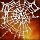 Red Spider Web.png