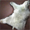 Polar Bear Leather