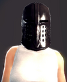 Fine Steel Plated Helm (Fiona 1).png