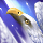 Eagle Talon (Skill).png