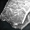 White Gnoll Leather