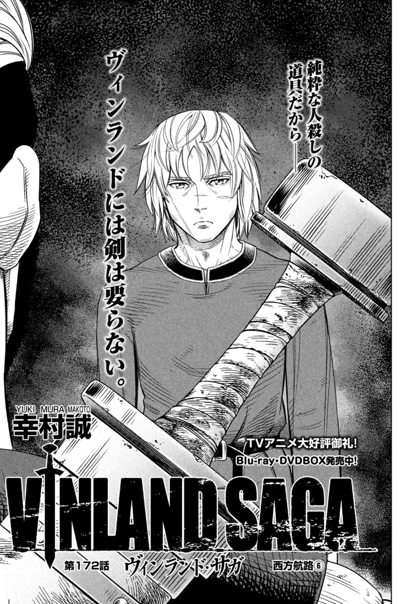 Vinland Saga 6