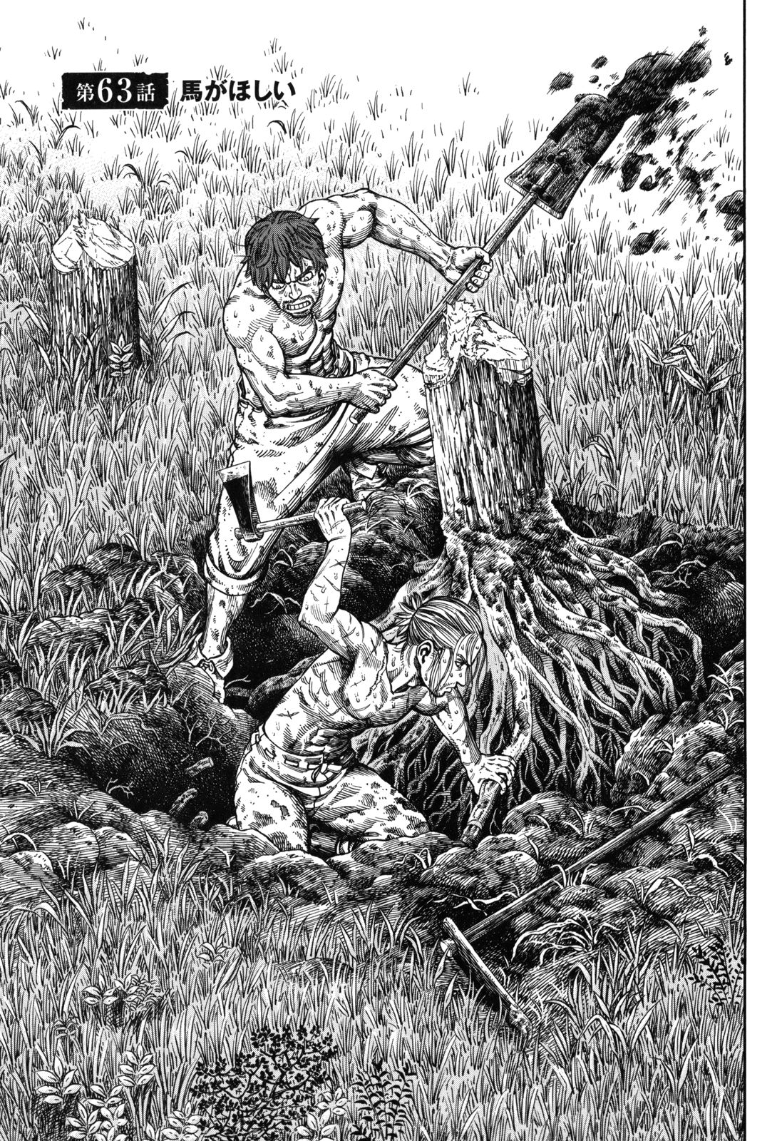 Pater, Vinland Saga Wiki