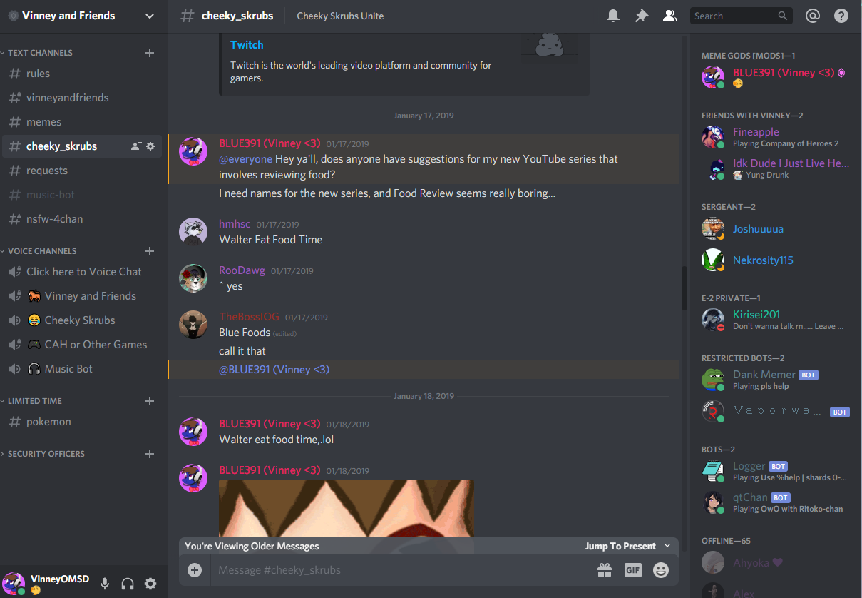 Vinney and Friends Discord Server, Vinney and Friends Wiki