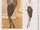 Vogue 2247 A