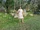 Butterick 6617 A