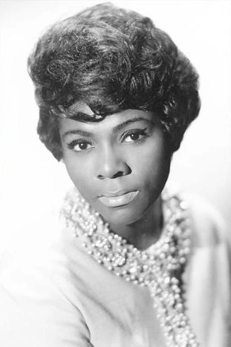 Dee Dee Warwick Vinyl Wikia Fandom