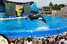 La-fi-seaworld-entertainment-shakeup-20160219