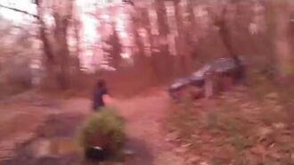 William_Throws_The_Christmas_Tree_In_The_Woods